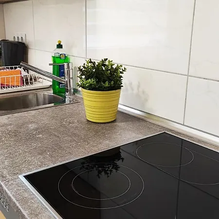 Zimmervermietung38 - Wild 3 아파트 잘츠기터